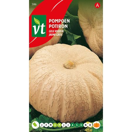 Pompoen Gele Reuzen - Ca. 3 gr