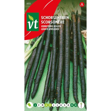 Schorseneren Verbeterde Reuzen - Ca. 5 gr