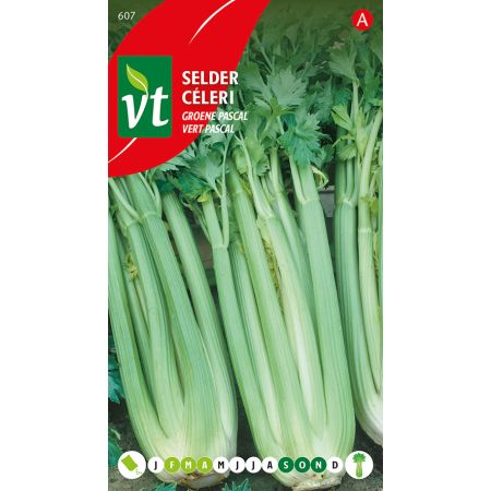 Selder Groene Pascal - Ca. 2 gr