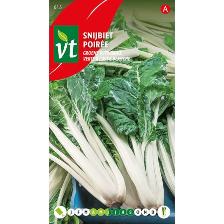 Snijbiet Groene witribbige - Ca. 4 gr