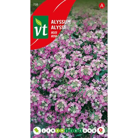 Alyssum Rosie O'Day - Ca. 0.5 gr