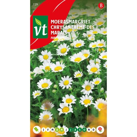Moerasmargriet Pure White - Ca. 0.5 gr