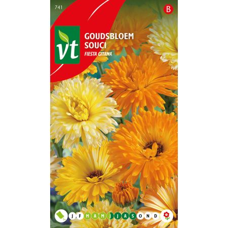Goudsbloem Calendula Fiesta Gitana - Ca. 1.25 gr
