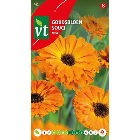 Goudsbloem Calendula Nova - Ca. 1.25 gr