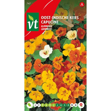 Oost-Indische Kers Klimmende - Ca. 3.5 gr