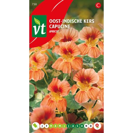 Oost-Indische Kers Apricot - Ca. 3.5 gr