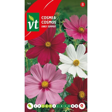 Cosmea Early Summer Gemengd - Ca. 1 gr