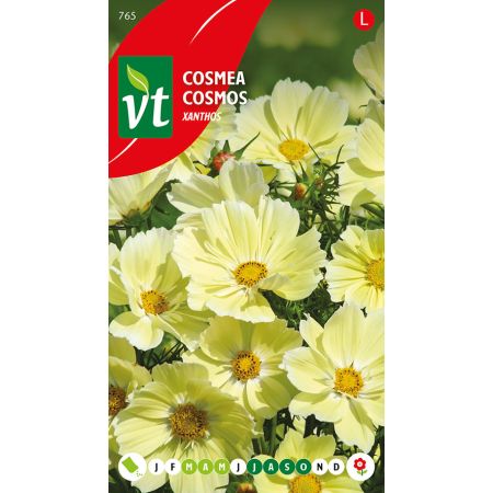 Cosmea Xanthos - Ca. 1 gr