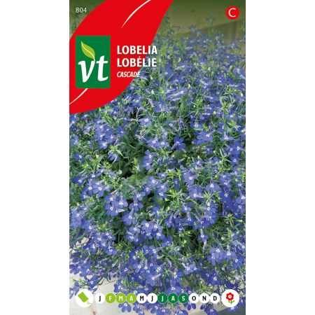 Lobelia Cascade - Ca. 0.4 gr