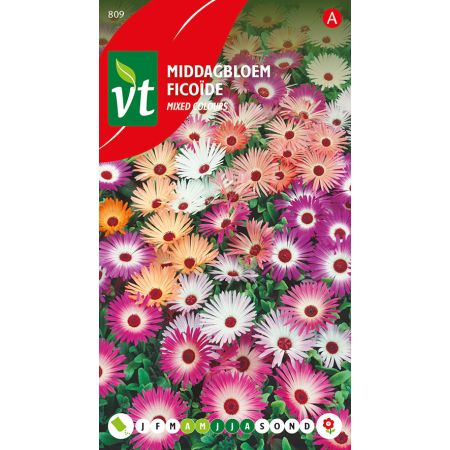 Middagbloem Gemengd - Ca. 1 gr
