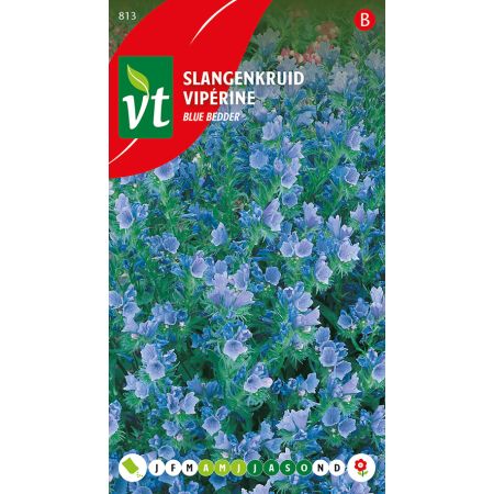 Slangenkruid Blue Bedder - Ca. 1 gr