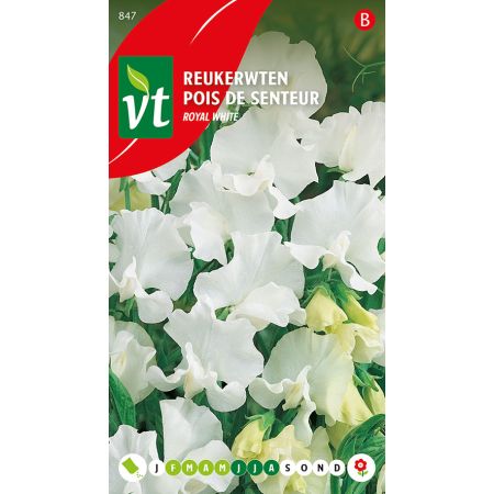 Reukerwten Royal White - Ca. 3 gr