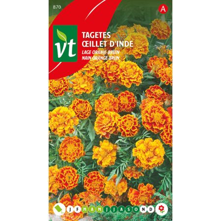 Tagetes Lage Oranje-Bruin - Ca. 1 gr