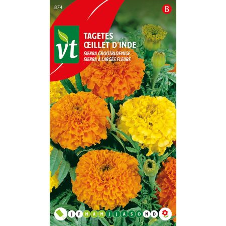 Tagetes Sierra Oranje-Geel - Ca. 1 gr