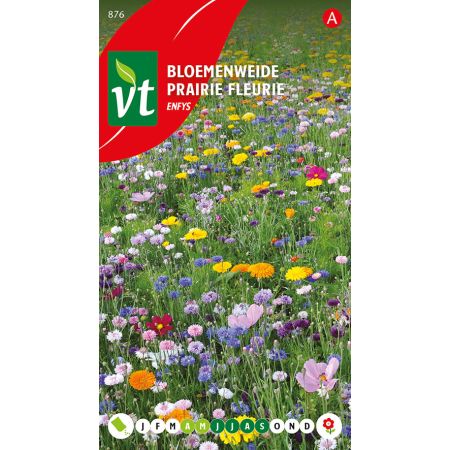 Bloemenweide Enfys - Ca. 2.5 gr