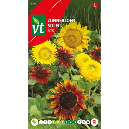 Zonnebloem Aztec - Ca. 1.25 gr