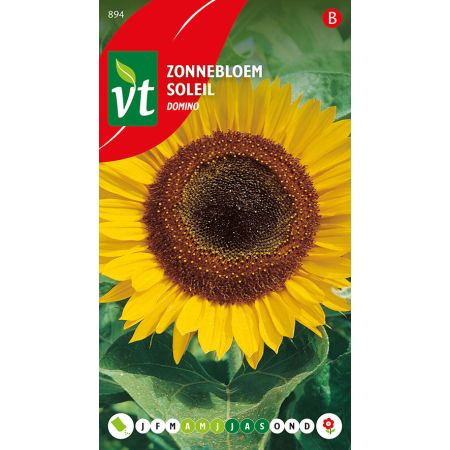 Zonnebloem Domino - Ca. 1 gr