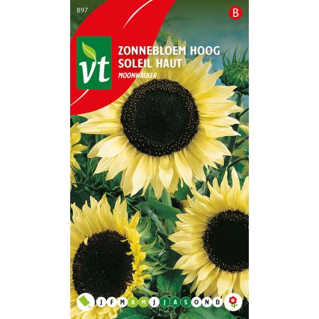 Zonnebloem Moonwalker - Ca. 1 gr