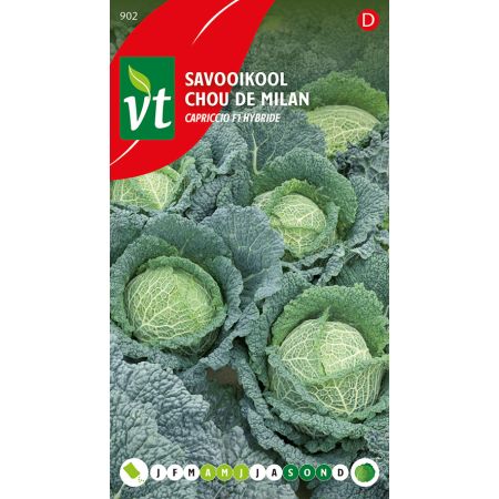 Savooikool Capriccio F1 hybride - Ca. 0.3 gr