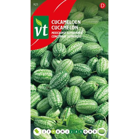 Cucameloen Mexicaanse komkommer - Ca. 15 zaden
