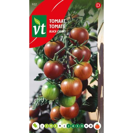 Tomaat Black Cherry - Ca. 0.2 gr
