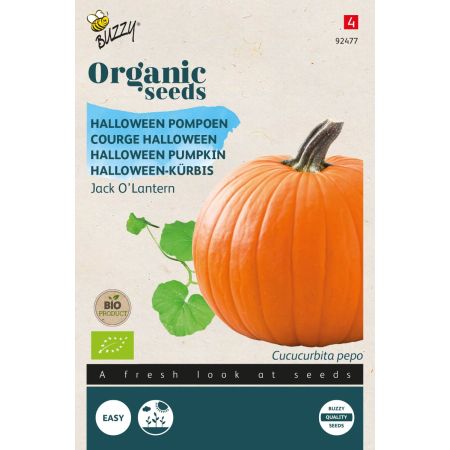 Buzzy Organic Pompoen Jack O'Lantern (BIO) - Ca 1,5 gr