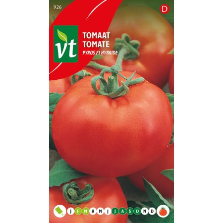 Tomaat Pyros F1 Hybride - Ca. 0.3 gr