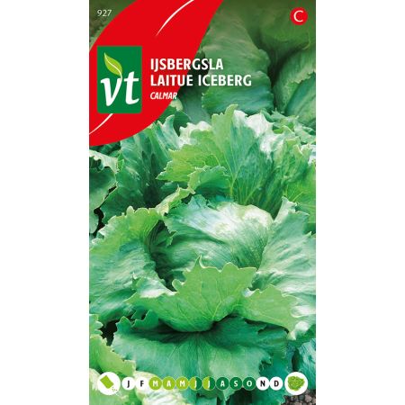 Sla Ijbergsla Calmar - Ca. 1 gr