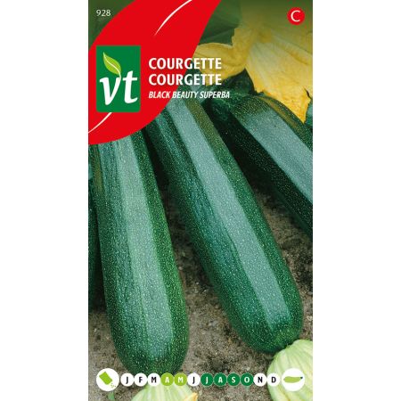 Courgette Black beauty - Ca. 1.5 gr