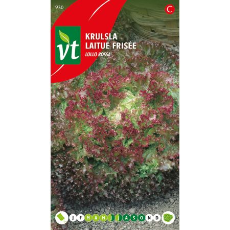 Sla Krulsla Lollo Rossa - Ca. 2 gr