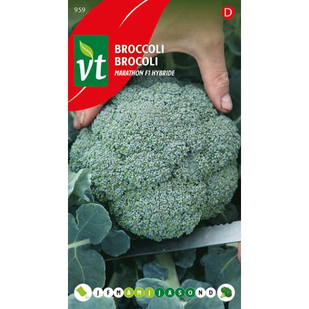 Broccolli Marathon F1 hybride - Ca. 0.3 gr