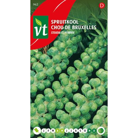 Spruitkool Steadia F1 Hybride - Ca. 0.3 gr