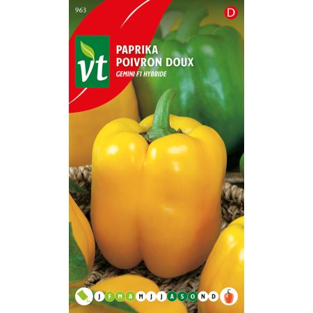 Paprika Goldenstar F1 Hybride - Ca. 0.15 gr