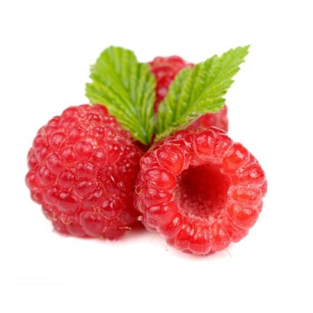 Rubus idaeus ‘Malling Promise’ - Zomerframboos 'Malling Promise'