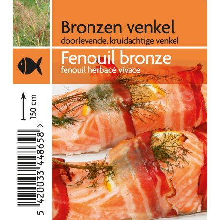 Foeniculum vulgare - Venkel