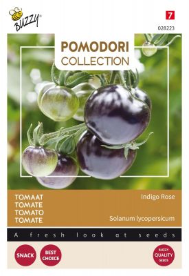 Buzzy Pomodori Tomaat Indigo rose (zwart)