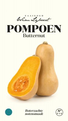 Pompoen Butternut - Wim Lybaert Zaaigoed