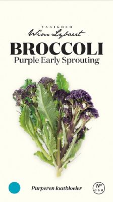 Broccoli Early Sprouting - Wim Lybaert Zaaigoed