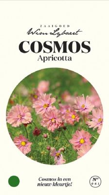 Cosmos Apricotta - Wim Lybaert Zaaigoed