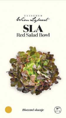 Sla Red Salad Bowl - Wim Lybaert Zaaigoed