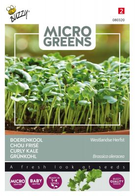 Buzzy Microgreens, Boerenkool Westlandse Herfst