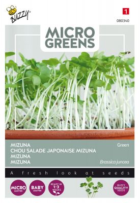 Buzzy Microgreens, Mizuna Green