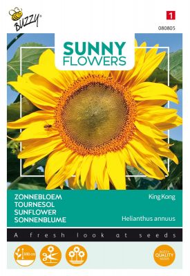 Buzzy Sunny Flowers, Zonnebloem King Kong