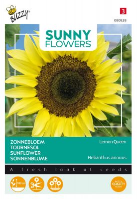 Buzzy Sunny Flowers, Zonnebloem Lemon Queen