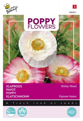 Buzzy Poppy Flowers, Klaproos Gemengd