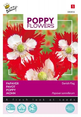 Buzzy Poppy Flowers, Papaver Deense Vlag