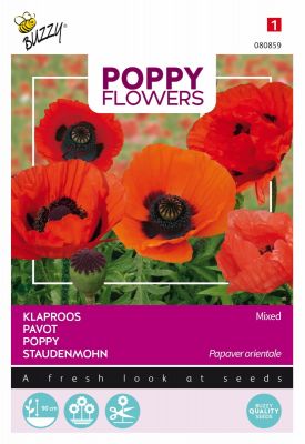 Buzzy Poppy Flowers, Oosterse klaproos gemengd