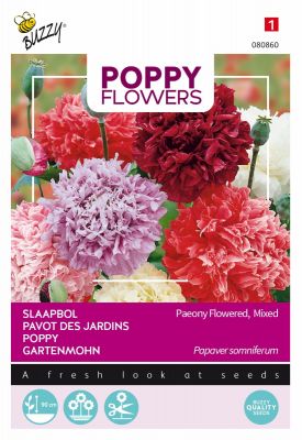 Buzzy Poppy Flowers, Slaapbol Pioenbloemige papaver