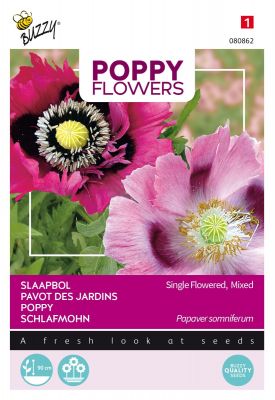 Buzzy Poppy Flowers, Papaver slaapbol