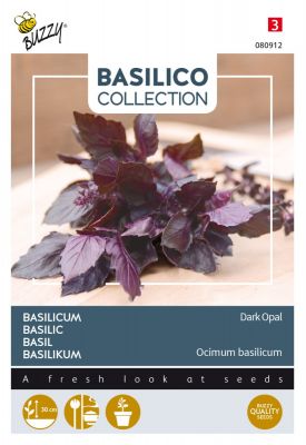 Buzzy Basilicum Dark Opal